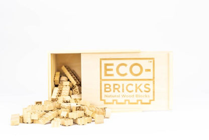 90 Piece Bamboo Eco Bricks Set