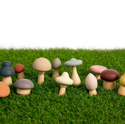 Mushroom Sorting Set